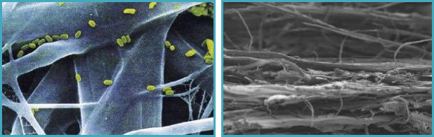 teweiq.png teweiq.png